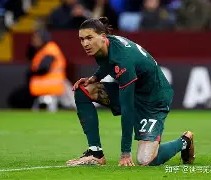 爱游戏-勒沃库森新帅