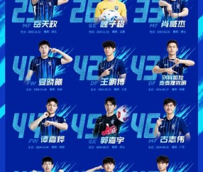 爱游戏-武汉三镇足球俱乐部现任球员名单