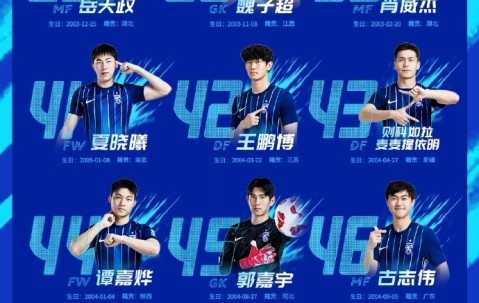 爱游戏-武汉三镇足球俱乐部现任球员名单